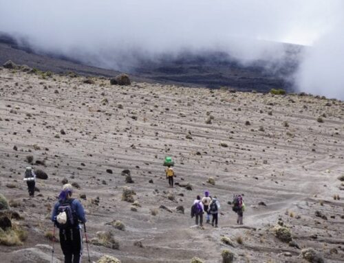 Emily’s Cliffhanger – Kilimanjaro