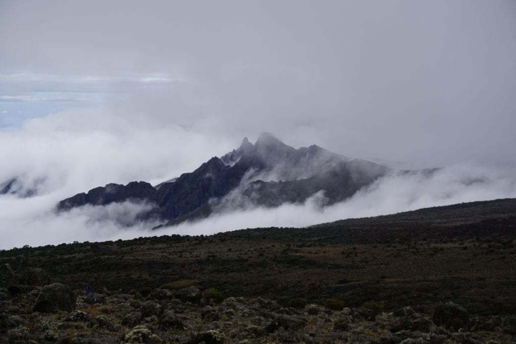 Day One Climbing Kilimanjaro