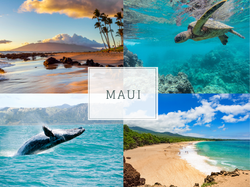 Maui best place to visit in hawaii
