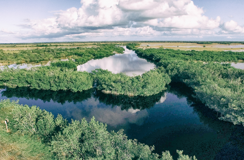 Everglades