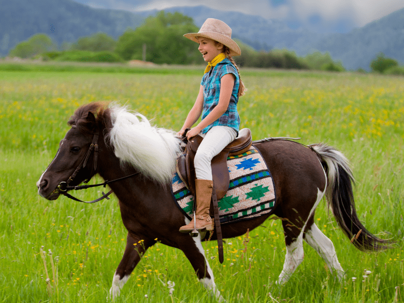 Costa Rica Horseback riding 