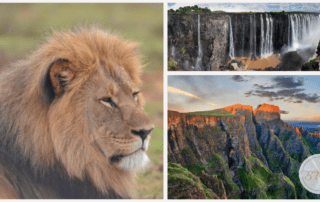 luxurious african safari