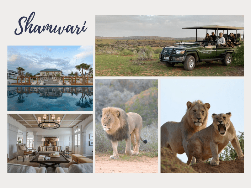 African Safari Luxury Game Drives