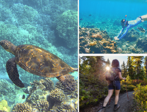 The 13 Best Adventurous Things To Do in Hawaii