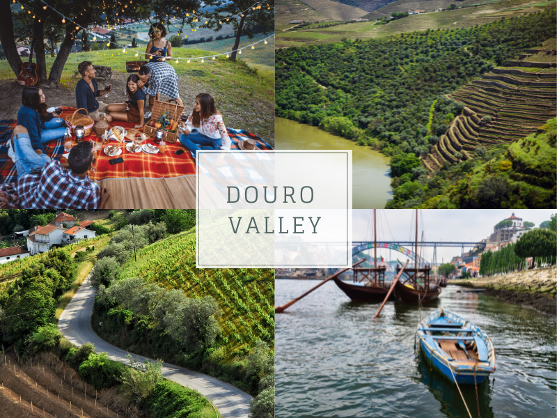 Douro Valley Family Friendly Tour