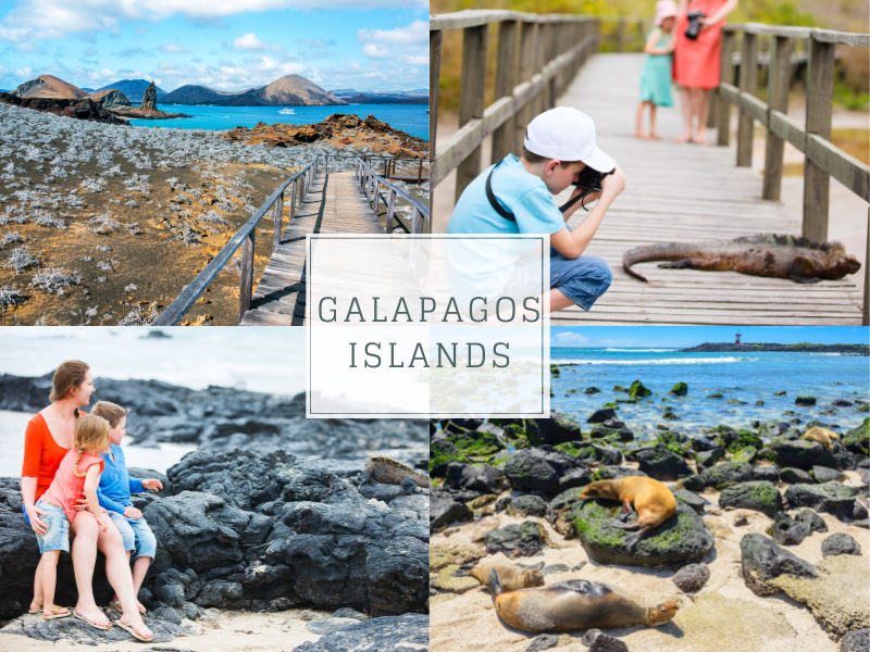 Best Family Vacations in 2023 - Galapagos Islands