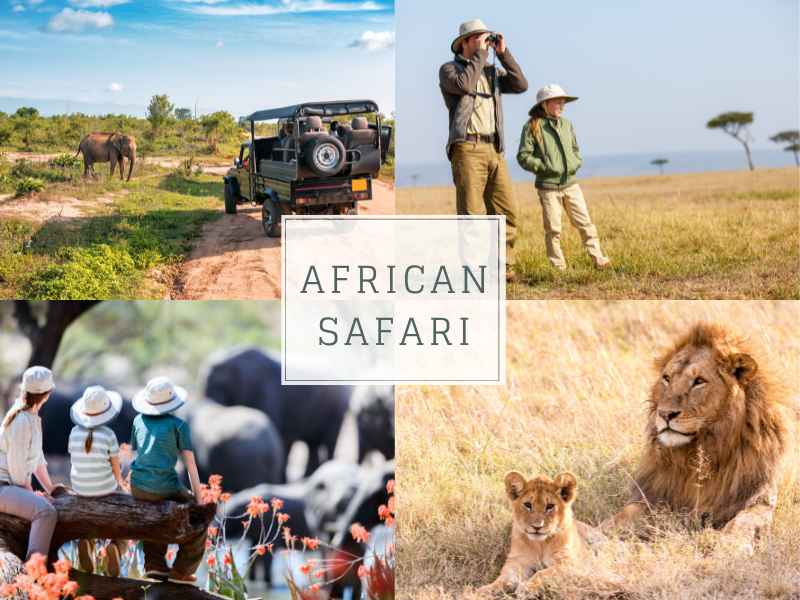 African Safari