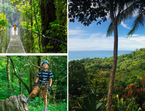 Why Costa Rica Is The Best Family Vacation Destination How to Plan the Perfect Trip