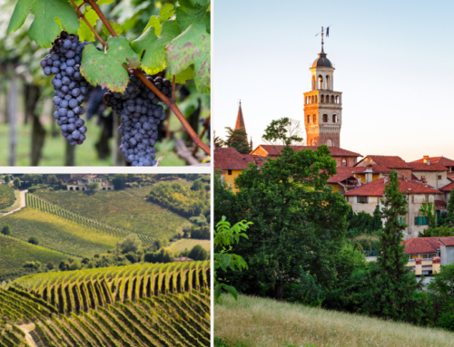 How To Plan The Perfect Trip To Piedmont, Italy’s Best Hidden Gem