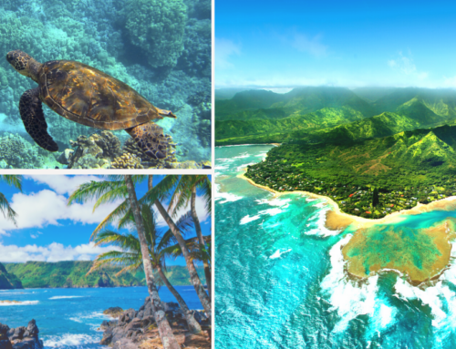 Hawaii Tropical Vacation, How To Choose Your Island
