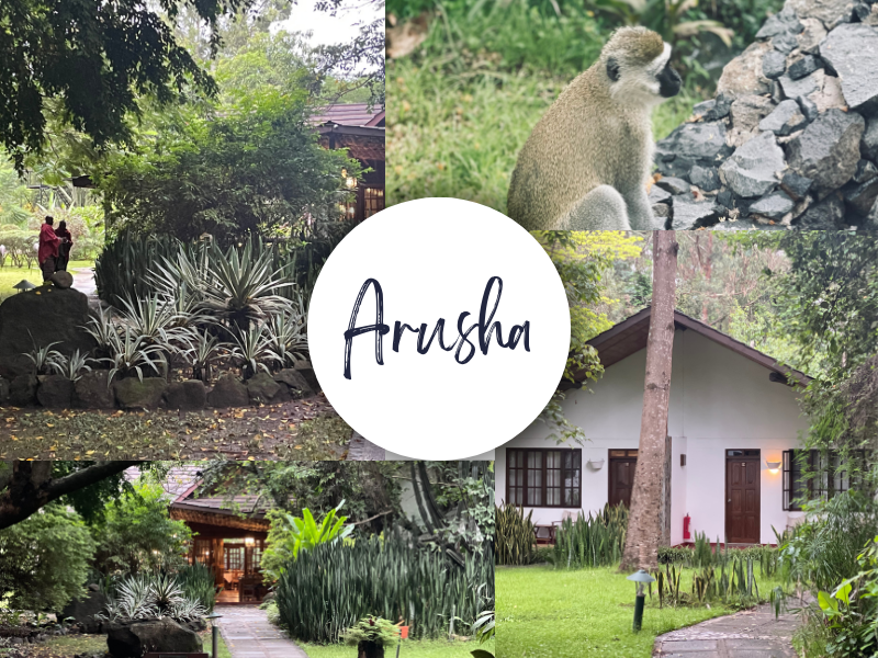 Arusha Tanzania Luxury Safari