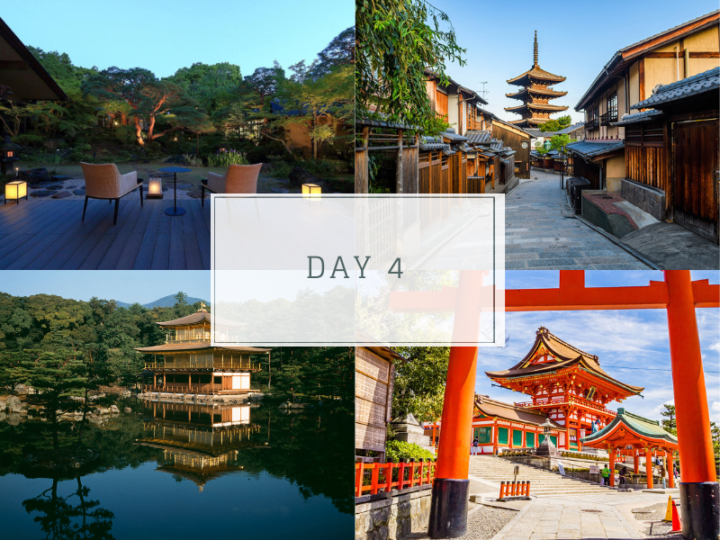 featuring the Fushimi Inari Shrine and Kinkaku-ji (Golden Pavilion) in Kyoto, Japan