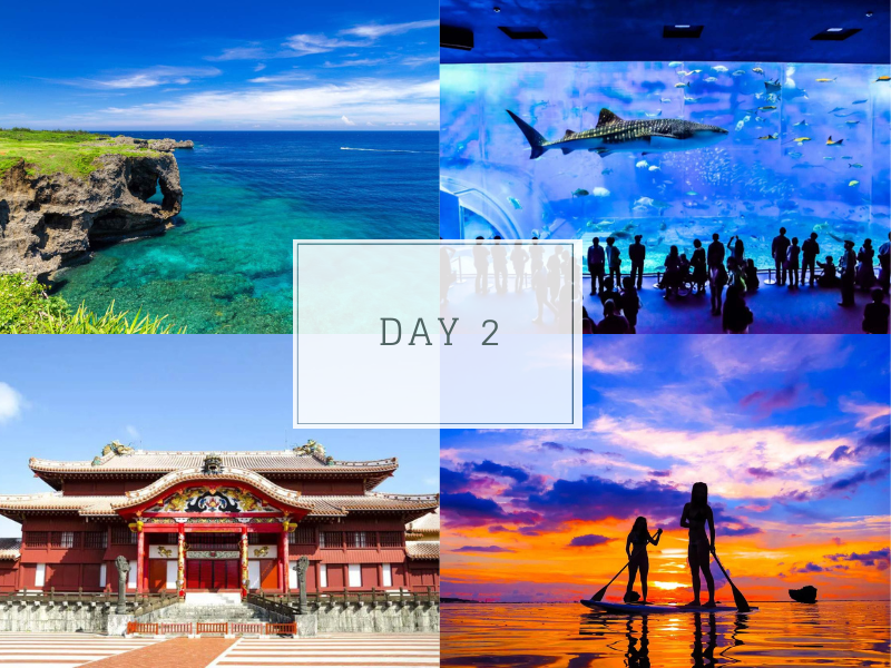 Cape Manzamo cliffs, Churaumi Aquarium, and Shurijo Castle, highlighting Okinawa's natural beauty and historic landmarks