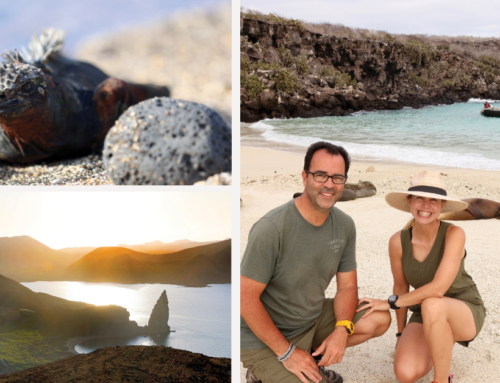 Galápagos Islands: Unparalleled Nature and Wildlife Expedition