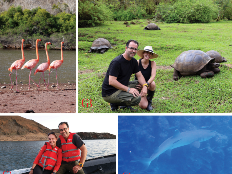 Galápagos Islands expedition cruise