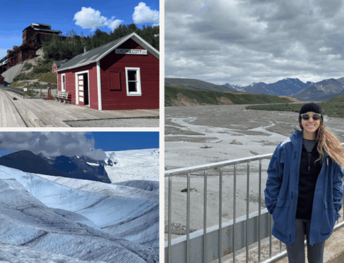 An Unforgettable Alaska Adventure: Whales, Glaciers, and Untamed Wilderness