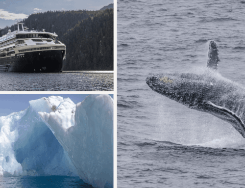 Why Expedition Cruising with HX Is the Adventure You Didn’t Know You Needed