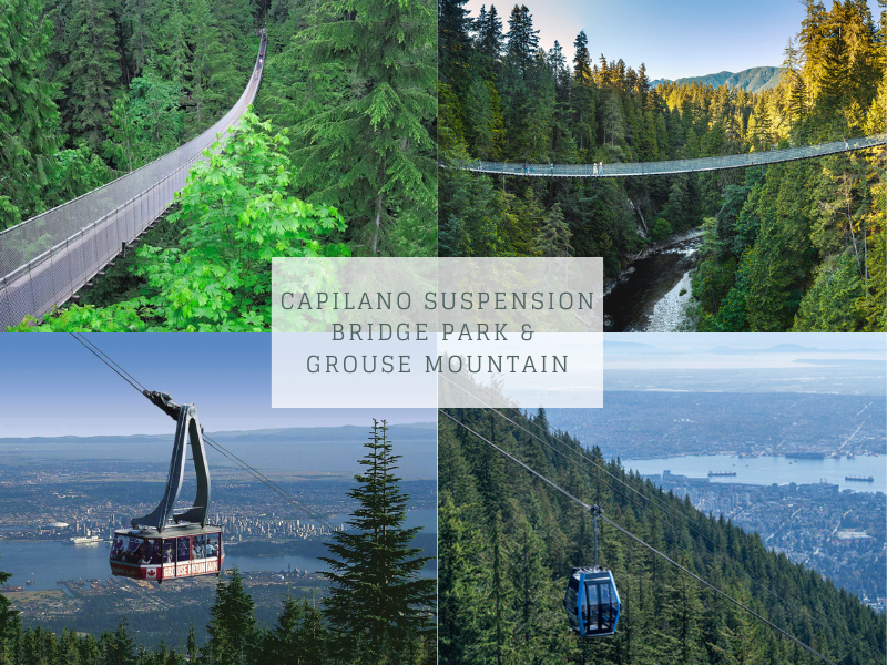 Capilano Suspension Bridge Park & Grouse Mountain