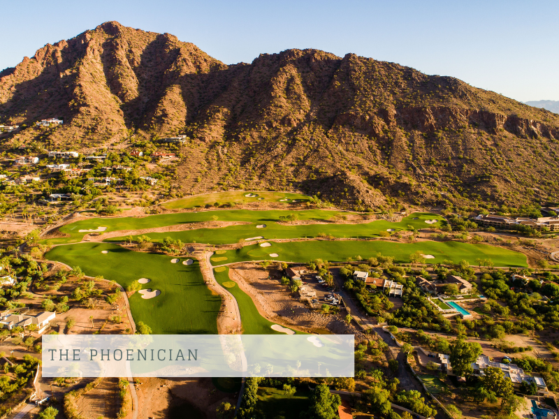 The Phoenician