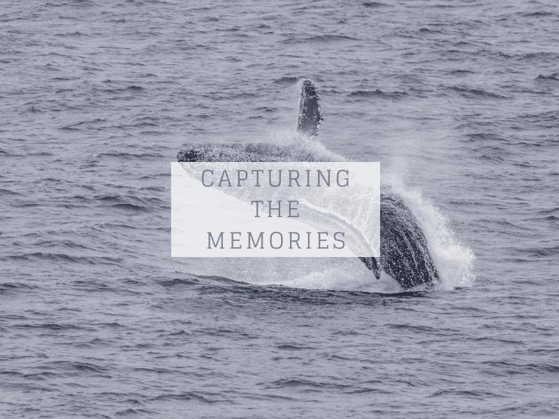 capturing the memories