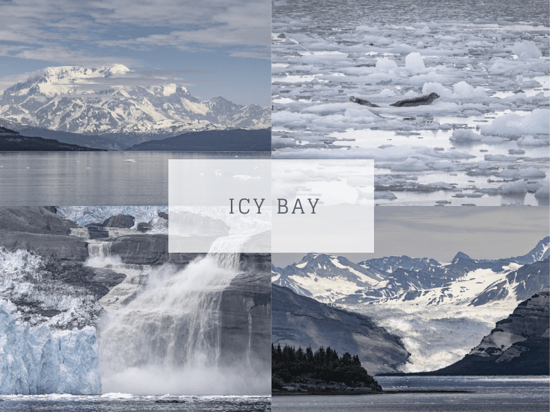 icy bay